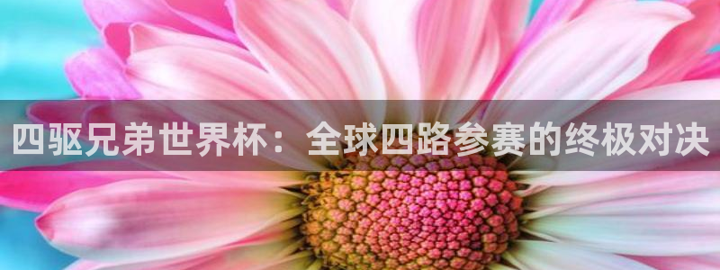 欧洲世界杯预选赛赛程：四驱兄弟世界杯：全球四路参赛的终极对决
