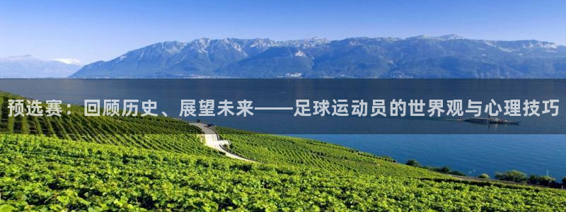 今年世界杯：预选赛：回顾历史、展望未来——足球运动员的世界观与心理技巧