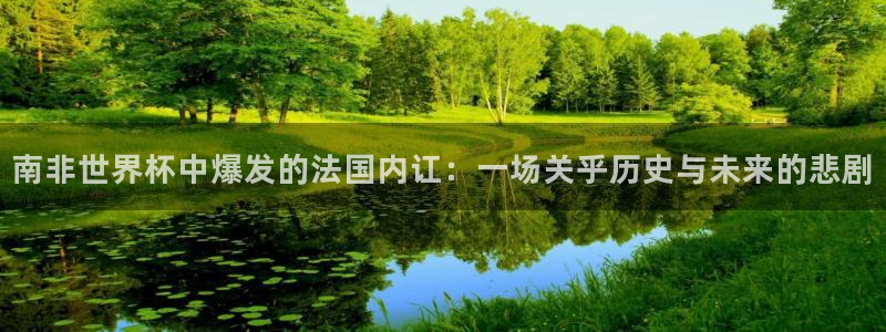 世界杯预选赛赛程表：南非世界杯中爆发的法国内讧：一场关乎历史与未来的悲剧