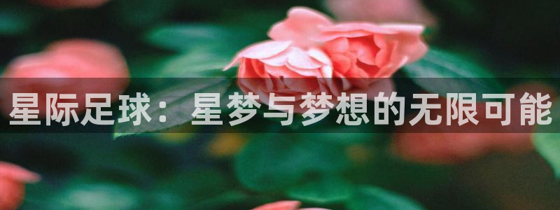 世界杯附加赛赛程表：星际足球：星梦与梦想的无限可能