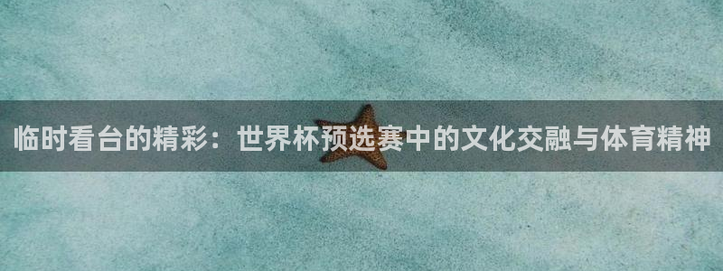 欧洲世界杯预选赛赛程：临时看台的精彩：世界杯预选赛中的文化交融与体育精神