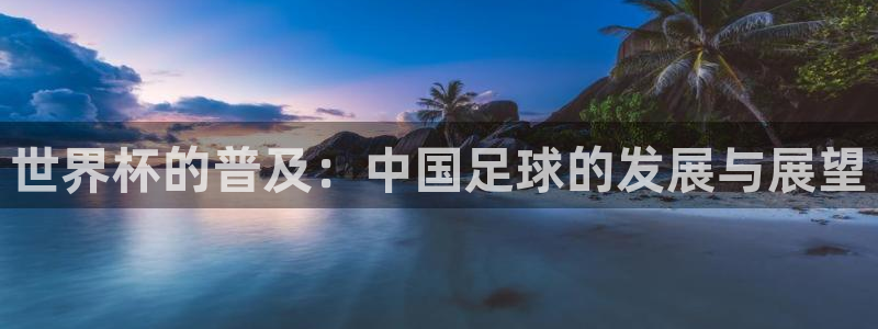 亚洲区世界杯预选赛：世界杯的普及：中国足球的发展与展望