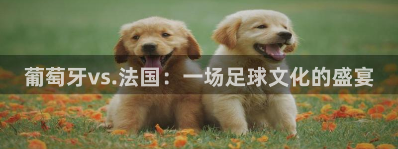 世界杯决赛预测：葡萄牙vs.法国：一场足球文化的盛宴