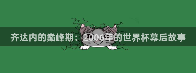 2026世界杯官网入口：齐达内的巅峰期：2006年的世界杯幕后故事