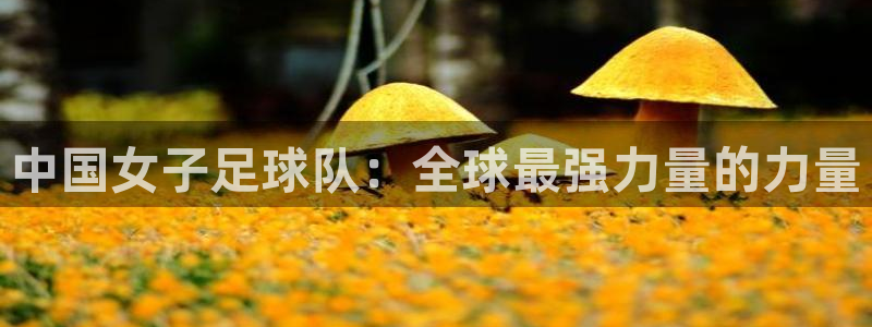 世界杯：中国女子足球队：全球最强力量的力量