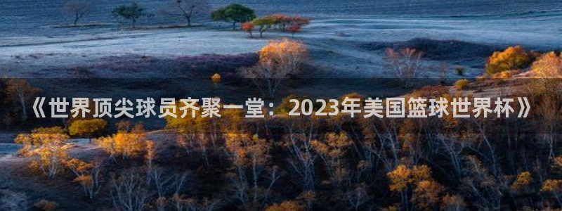 世界杯直播：《世界顶尖球员齐聚一堂：2023年美国篮球世界杯》