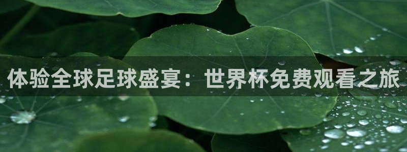 中国 世界杯：体验全球足球盛宴：世界杯免费观看之旅