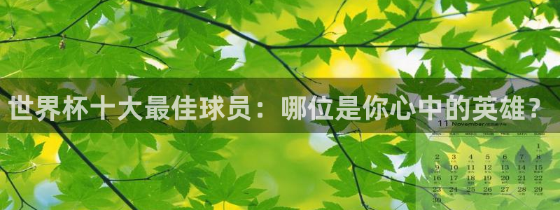 2026世界杯32强对阵图表：世界杯十大最佳球员：哪位是你心中的英雄？