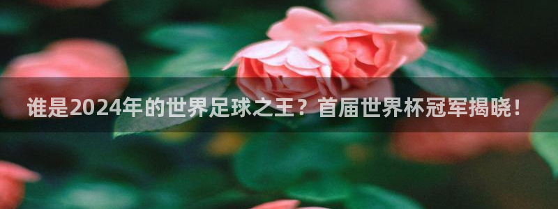 足球世界杯：谁是2024年的世界足球之王？首届世界杯冠军揭晓！