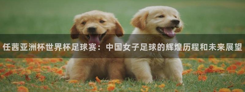 世界杯预选赛赛程表：任茜亚洲杯世界杯足球赛：中国女子足球的辉煌历程和未来展望