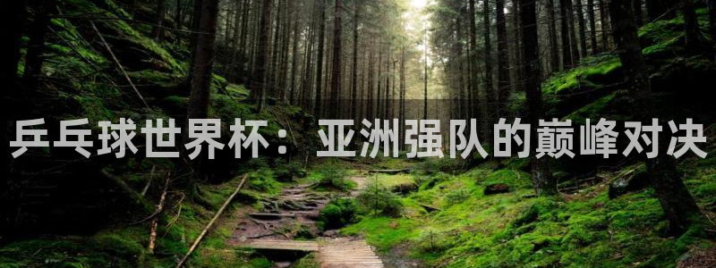 世界杯预选赛赛程表：乒乓球世界杯：亚洲强队的巅峰对决