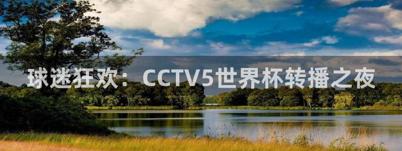 2026世界杯小组赛赛程时间表：球迷狂欢：CCTV5世界杯转播之夜