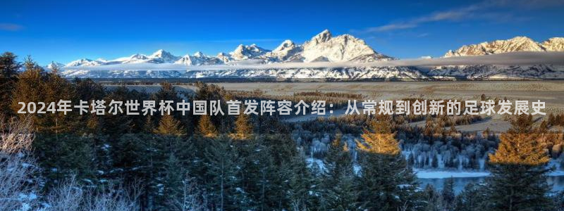 足球世界杯：2024年卡塔尔世界杯中国队首发阵容介绍：从常规到创新的足球发展史