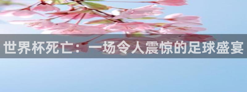 中国 世界杯：世界杯死亡：一场令人震惊的足球盛宴