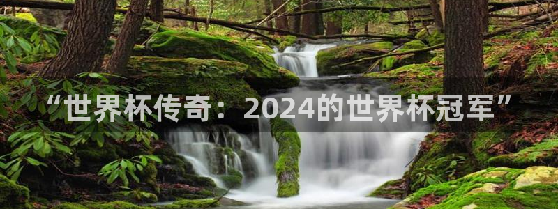 亚洲区世界杯预选赛：“世界杯传奇：2024的世界杯冠军”