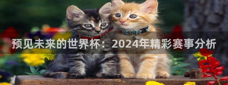 2026世界杯赛程：预见未来的世界杯：2024年精彩赛事分析